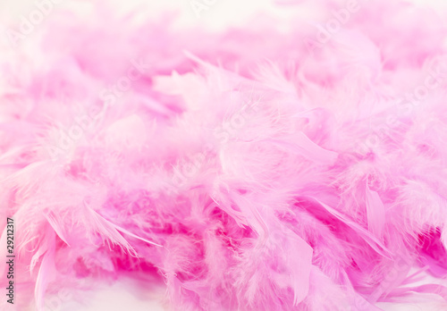 boa rose Pink pink plume federn  feather