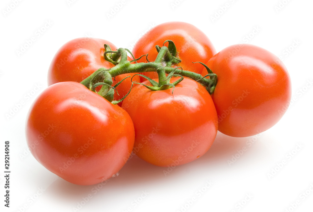 red tomatoes red tomatoes