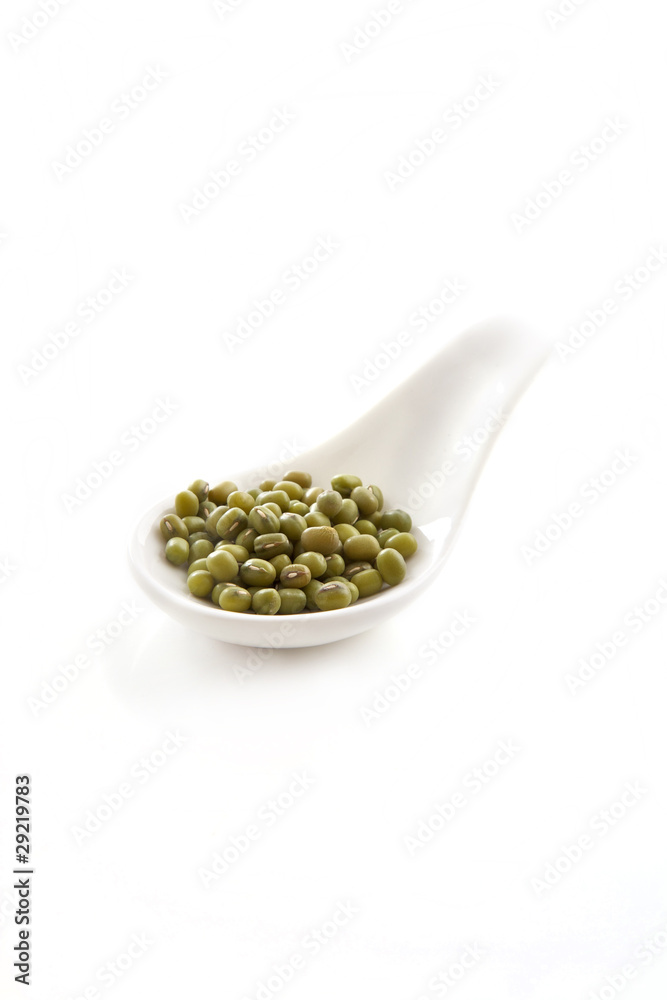 soja soja