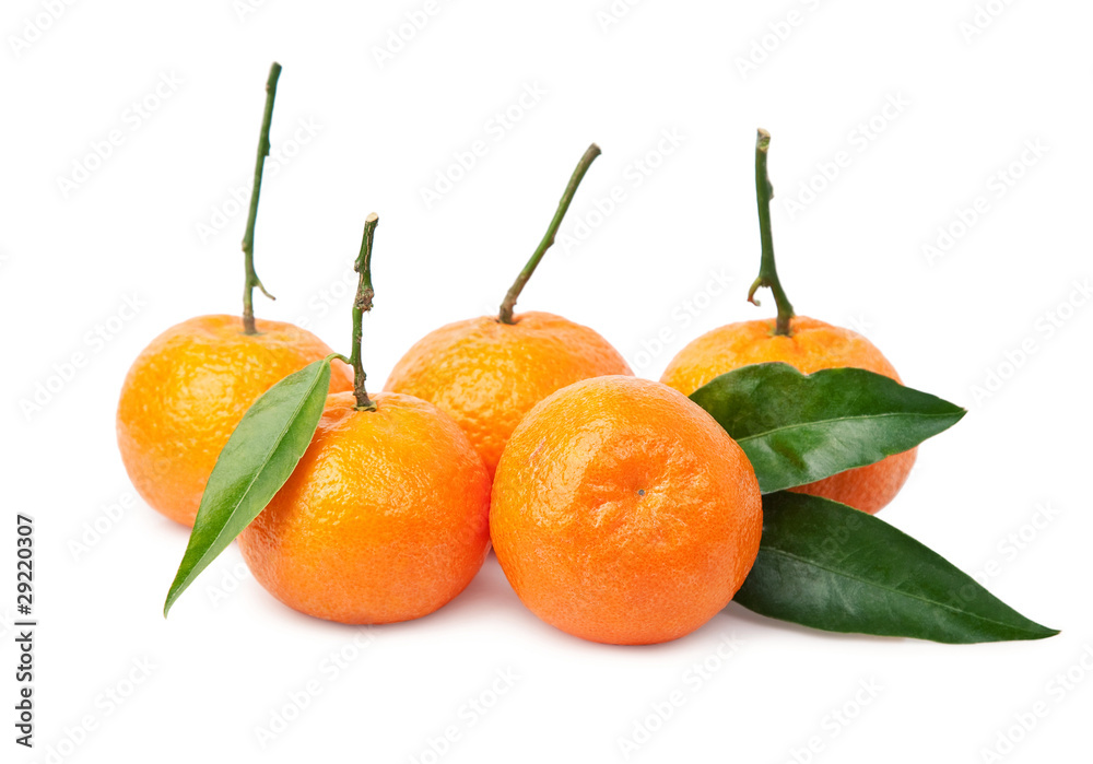 Fresh tangerines with green leaves isolated on white. Fresh tangerines with green leaves isolated on white.