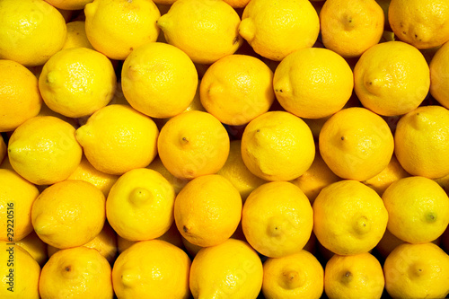 lemon background