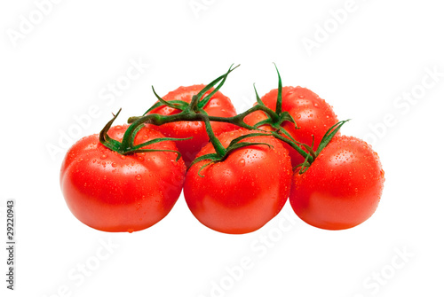 fresh tomato isolated on white background