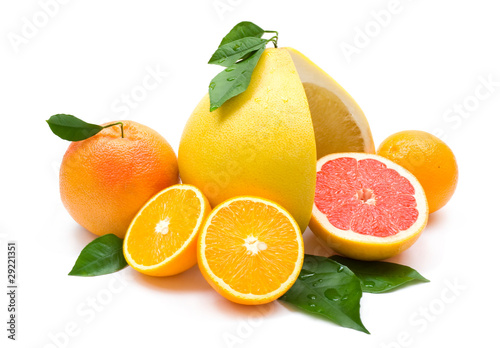 citruses