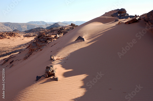 Sand dune in Negev desert, Israel.
