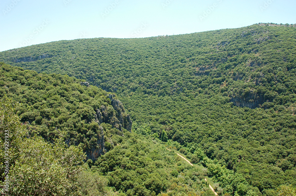 Upper Galilee landscape.
