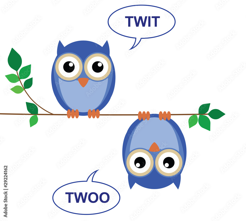 Naklejka premium Owls sat on a branch calling Twit Twoo