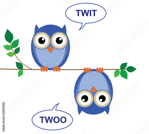 Owls sat on a branch calling Twit Twoo