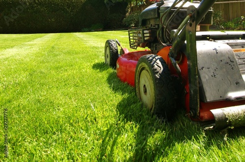 lawn mowing