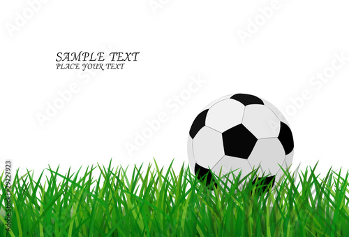 Football on green grass with text area copyspace
