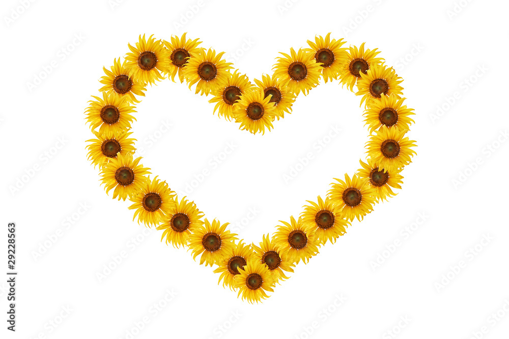 sunflower of heart.