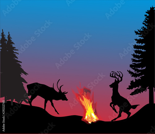 two deers in forest near flame