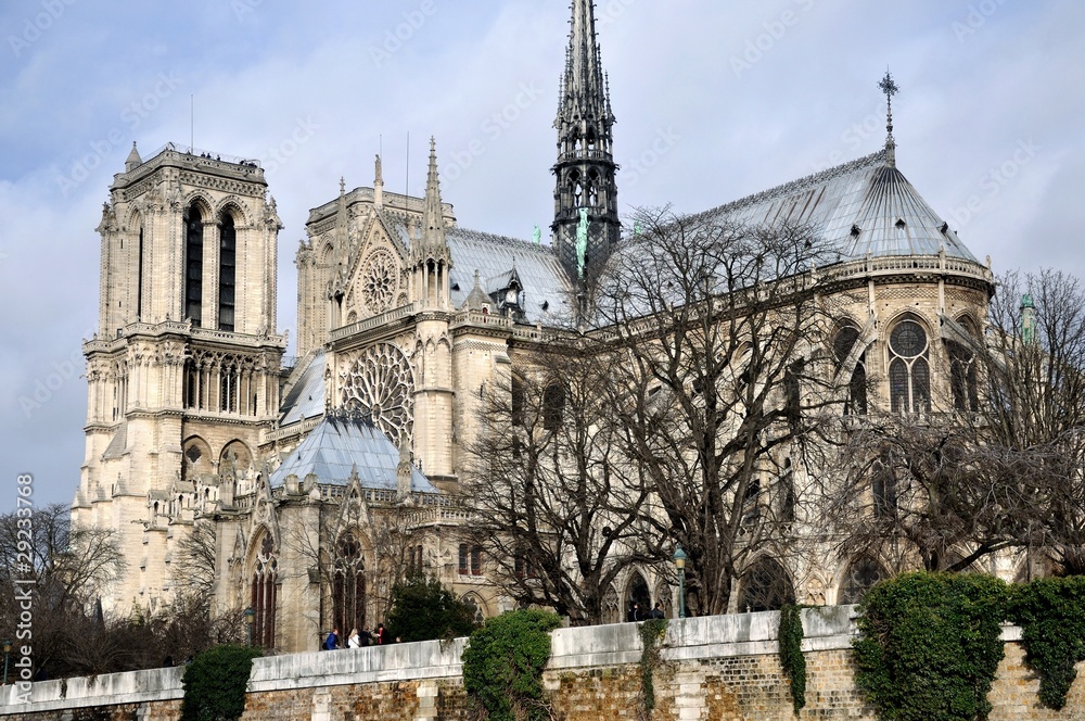 Obraz premium cathédrale notre Dame de Paris