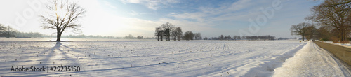 snow landscape