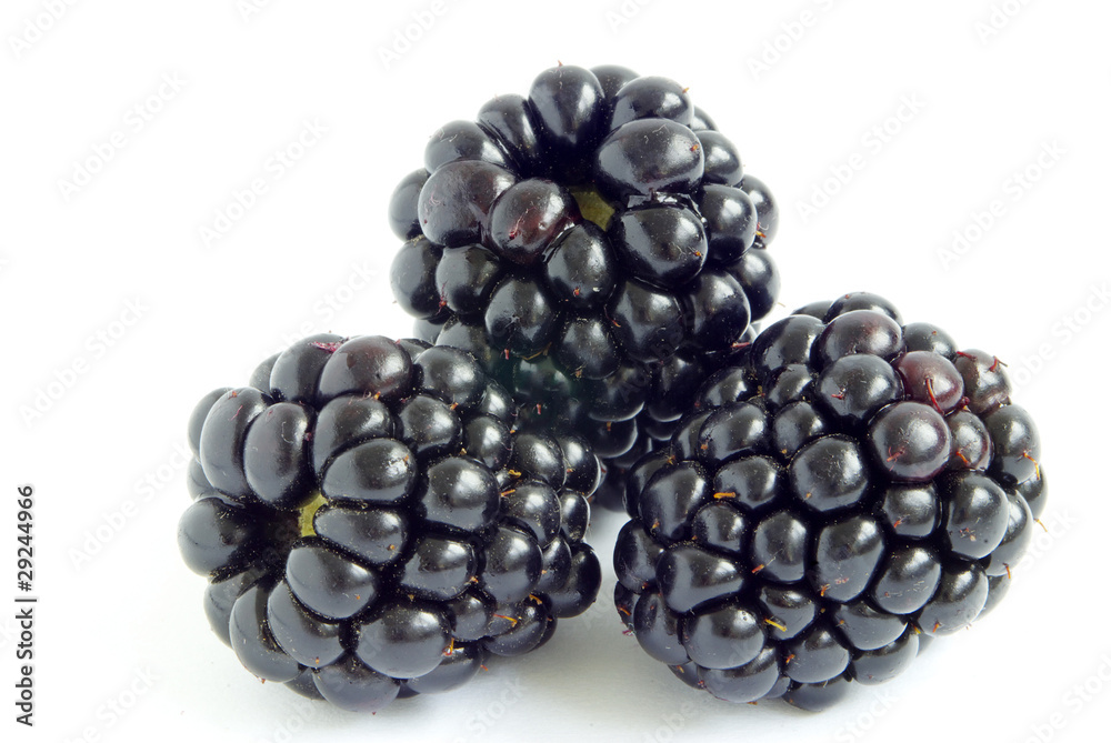 blackberry blackberry