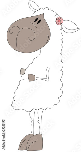Funny standing sheep