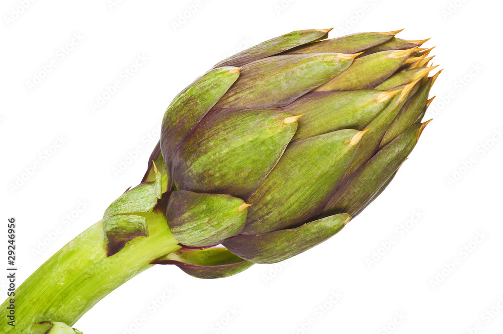 Fototapeta premium Carciofo Close up