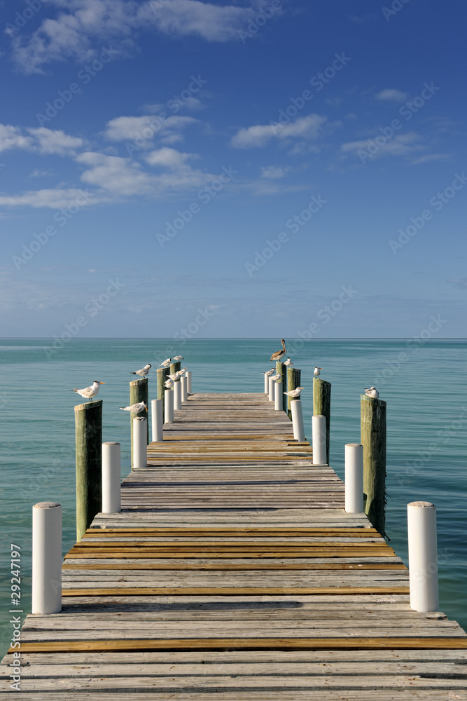 Wooden sunlit jetty leading into a turquoise blue sea in Governo