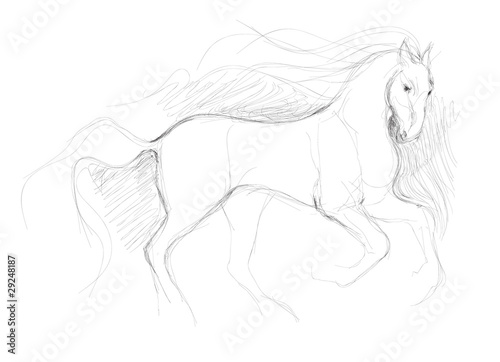 Horse / realistic sketch (not auto-traced)