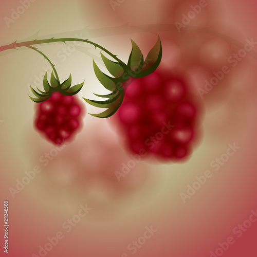 Raspberry on abstract background