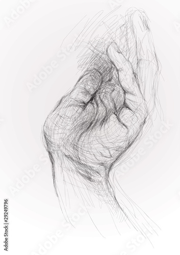 Open hand / realistic sketch (not auto-traced)