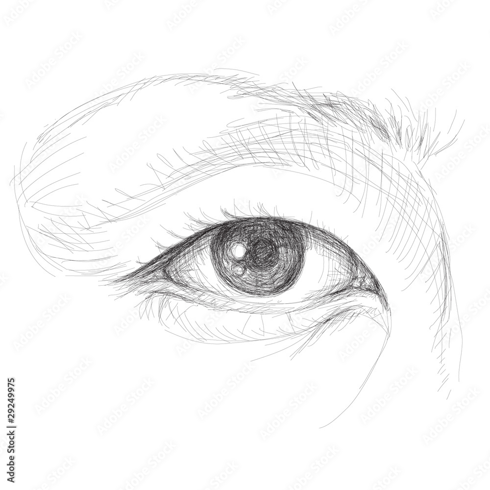 Obraz premium Asian Eye / realistic sketch (not auto-traced)