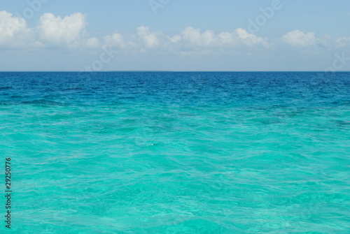 Clear sea of a coral reserve