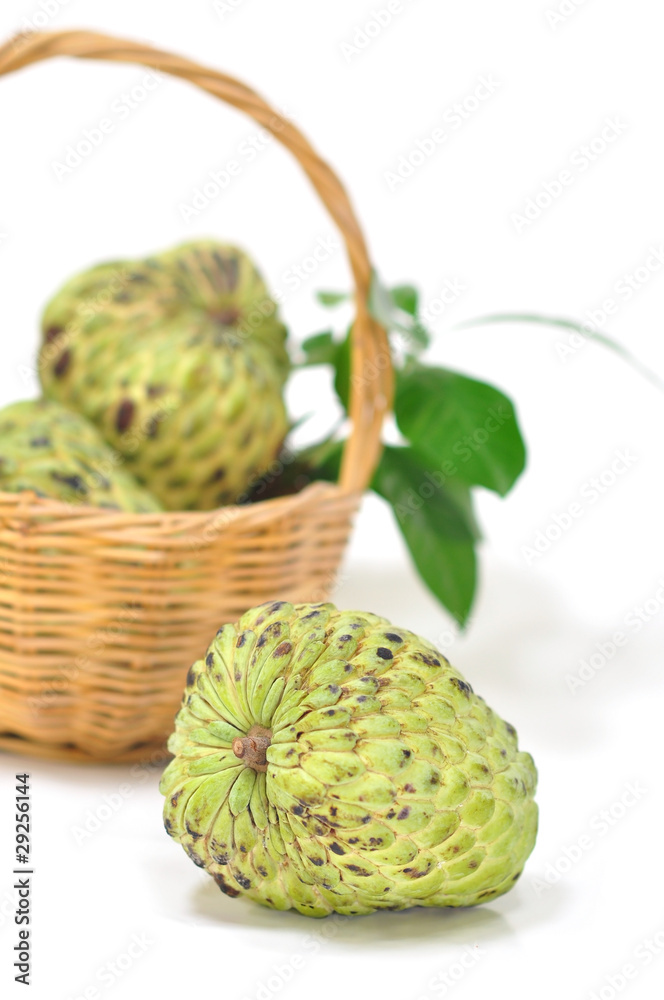 Obraz premium custard apple