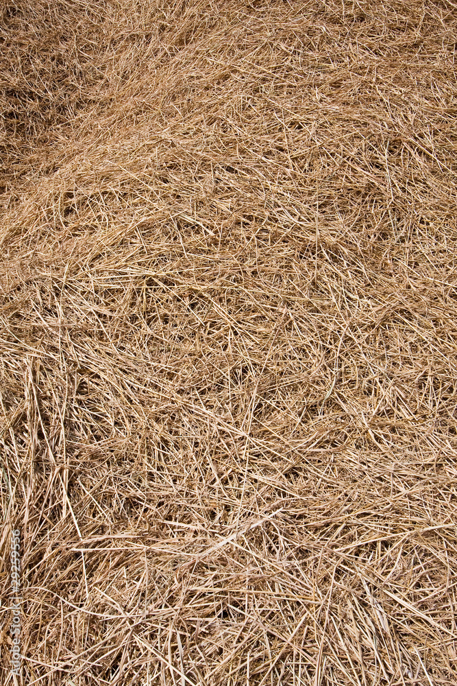 straw heap straw heap