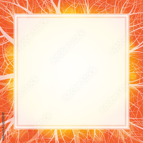 Forest theme vector frames with space for your text. Eps10