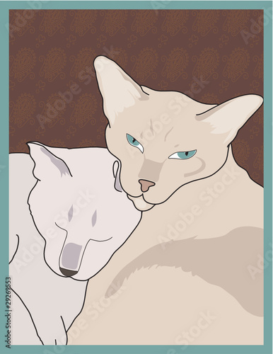 Siamese Cats