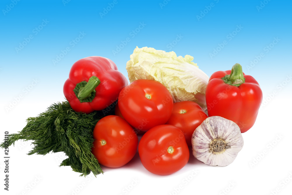 fresh vegetables on the blue background isolated fresh vegetables on the blue background isolated