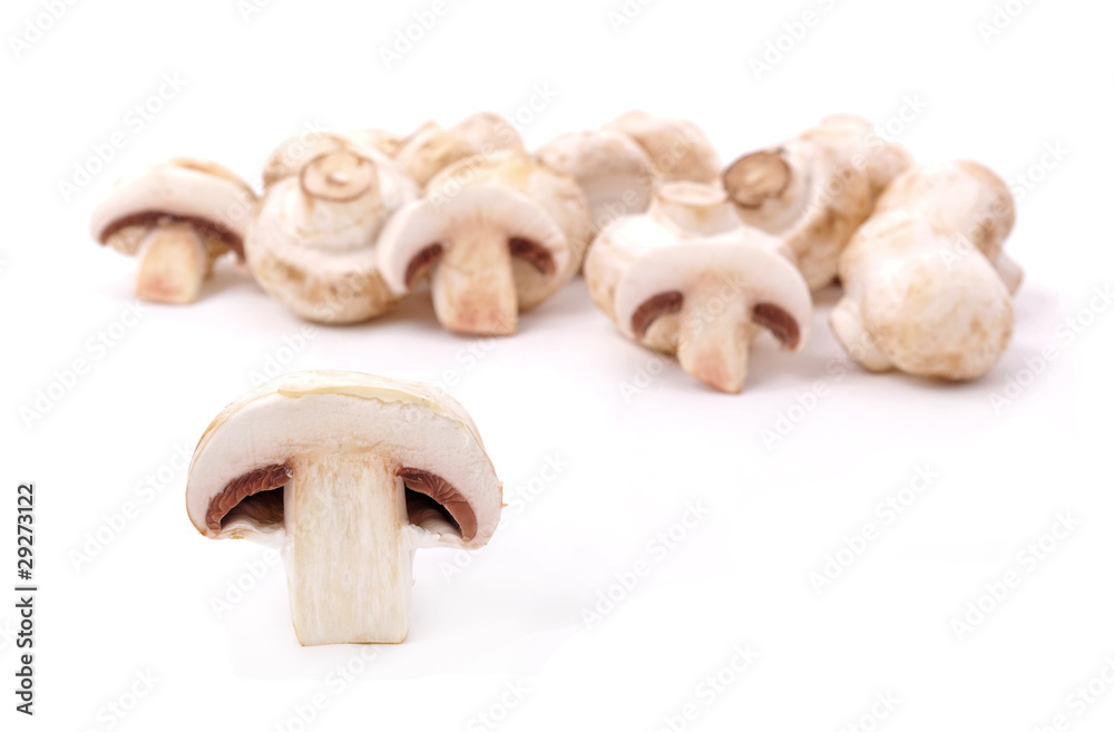 Cut fungus. Cut fungus.
