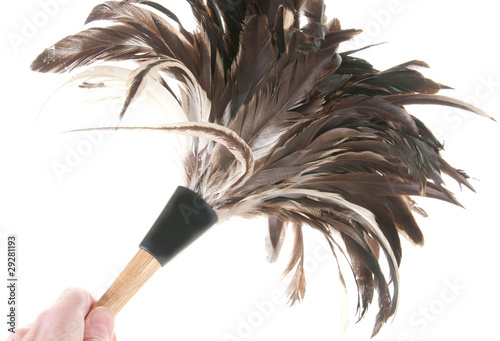 Tablou pe pânză Cleaning with feather duster