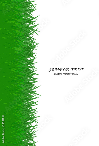 green grass frame with text area copyspace