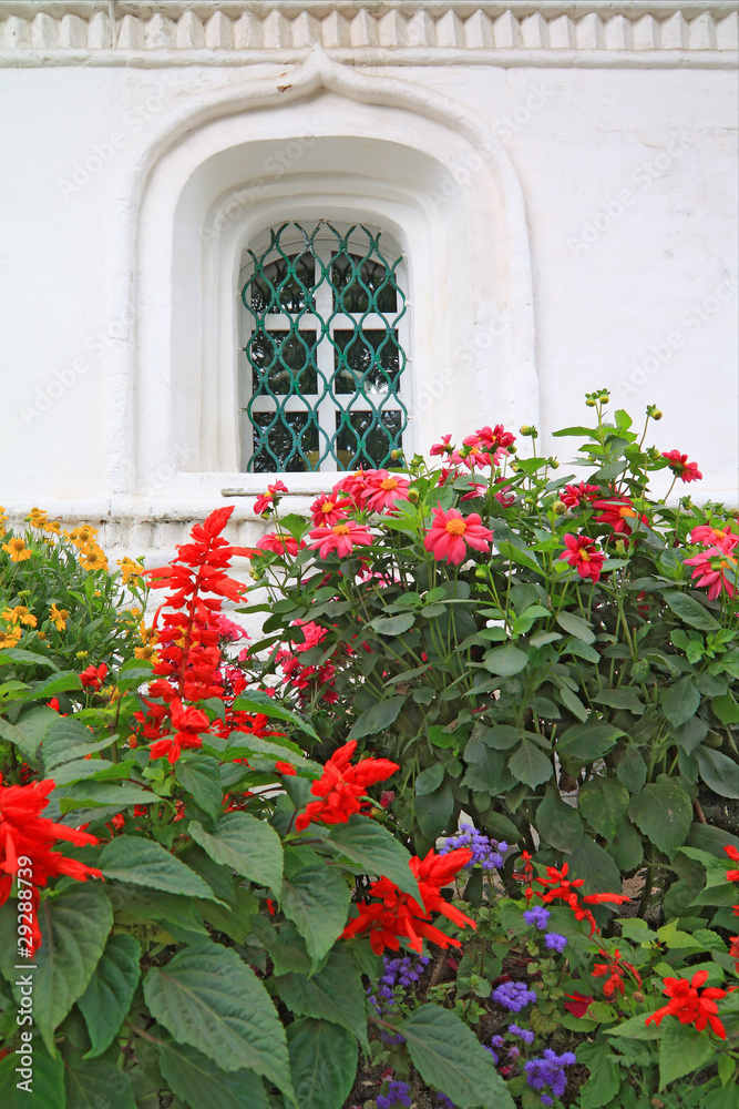 Fototapeta premium flowerses under window
