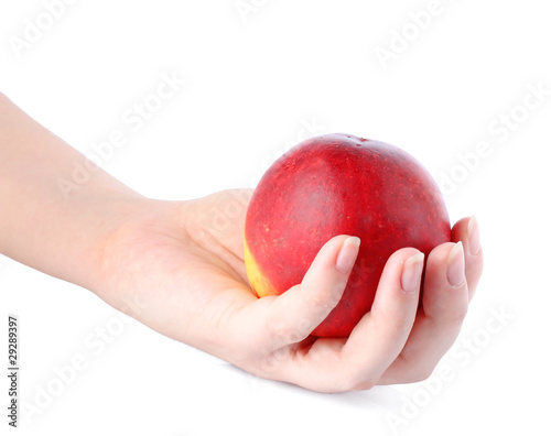 Peaches in hand