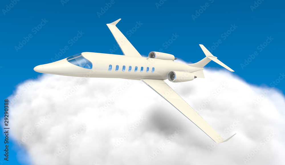 Naklejka premium Flying Plane
