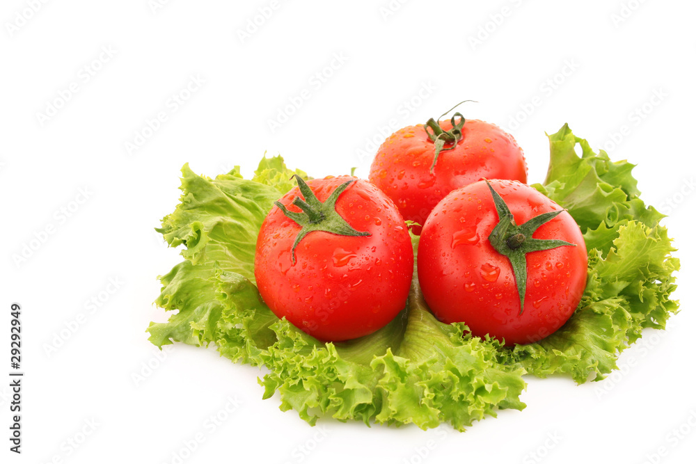 red tomato vegetables on the green salad background red tomato vegetables on the green salad background