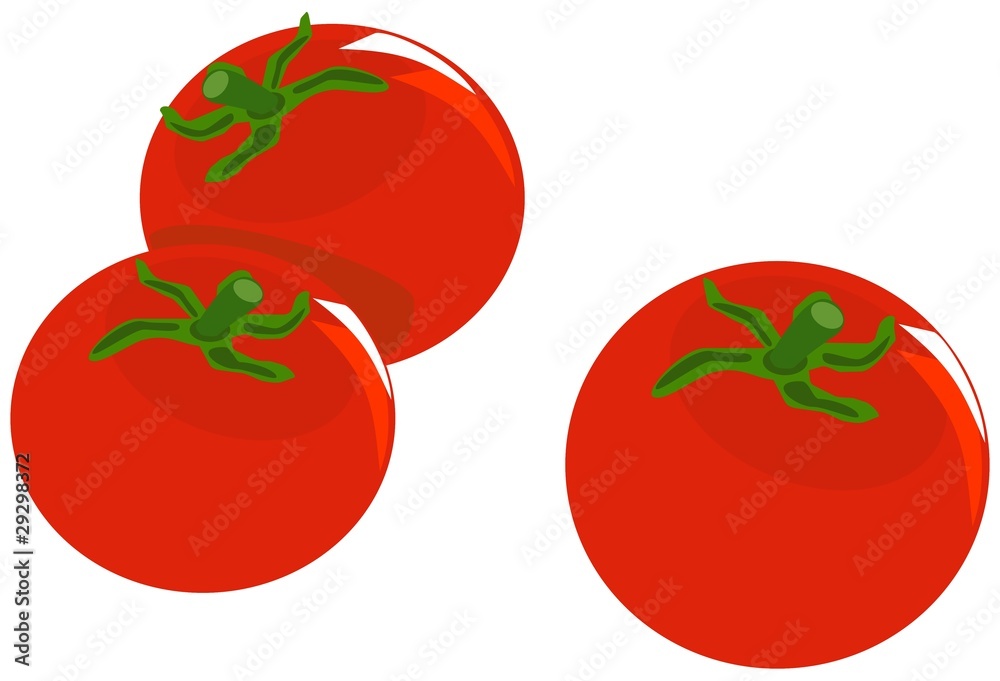 Tomatoes on white background
