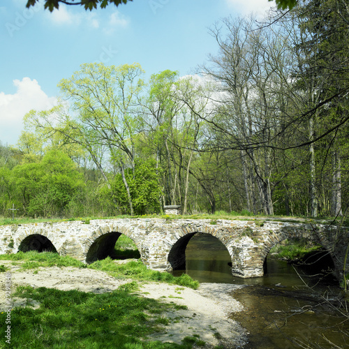 bridge in Vlci Dul near Zasmuky, Czech Republic photo