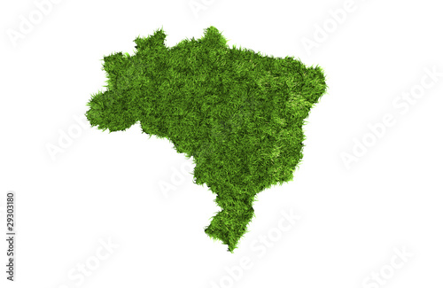 Grünes Brasilien © chagpa