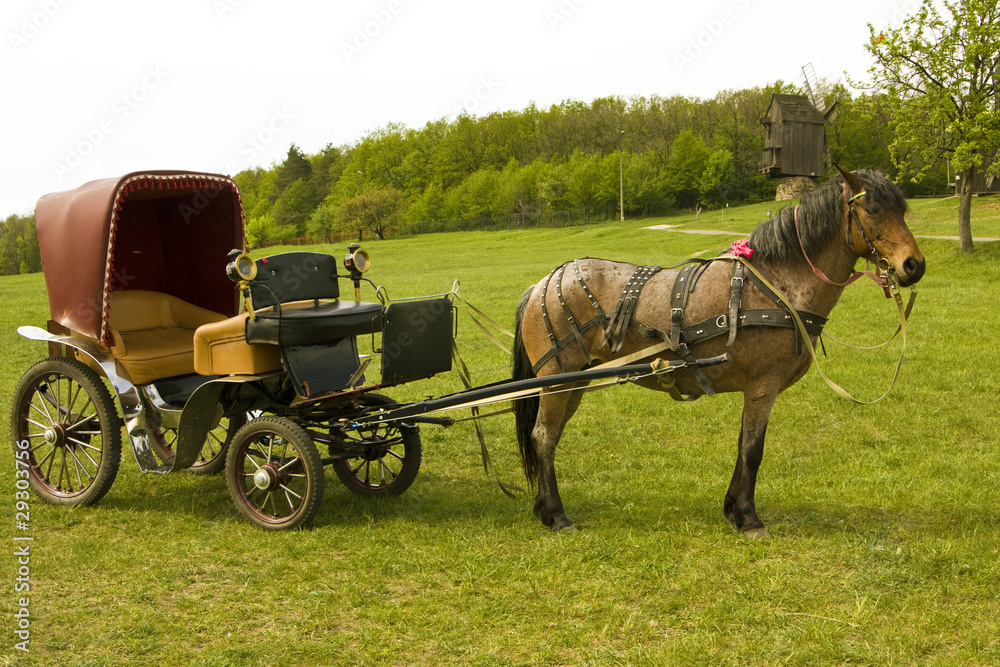 Obraz premium Horse with carriage