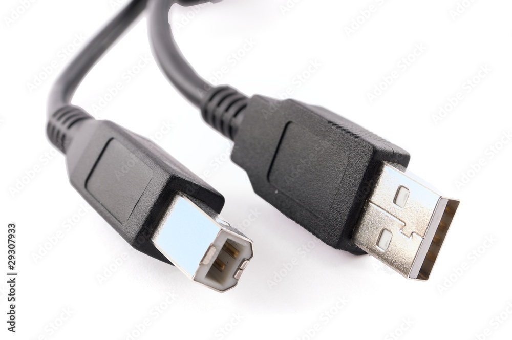 USB Plug USB Plug