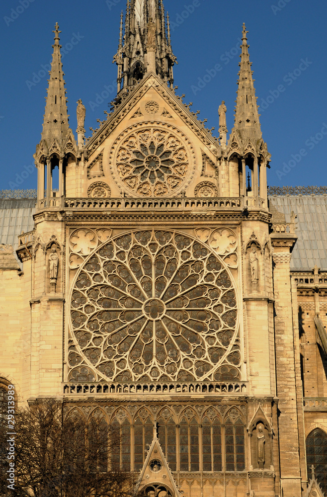 France, Paris, cathédrale NotreDame StockFoto Adobe Stock