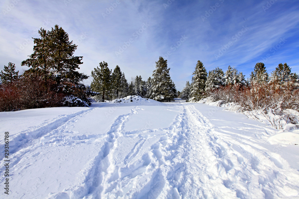 Winter park near lake Tahoe