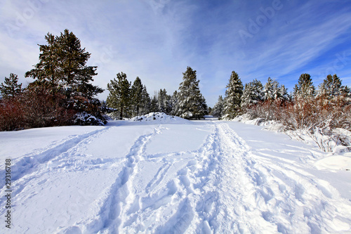 Winter park near lake Tahoe © Iriana Shiyan