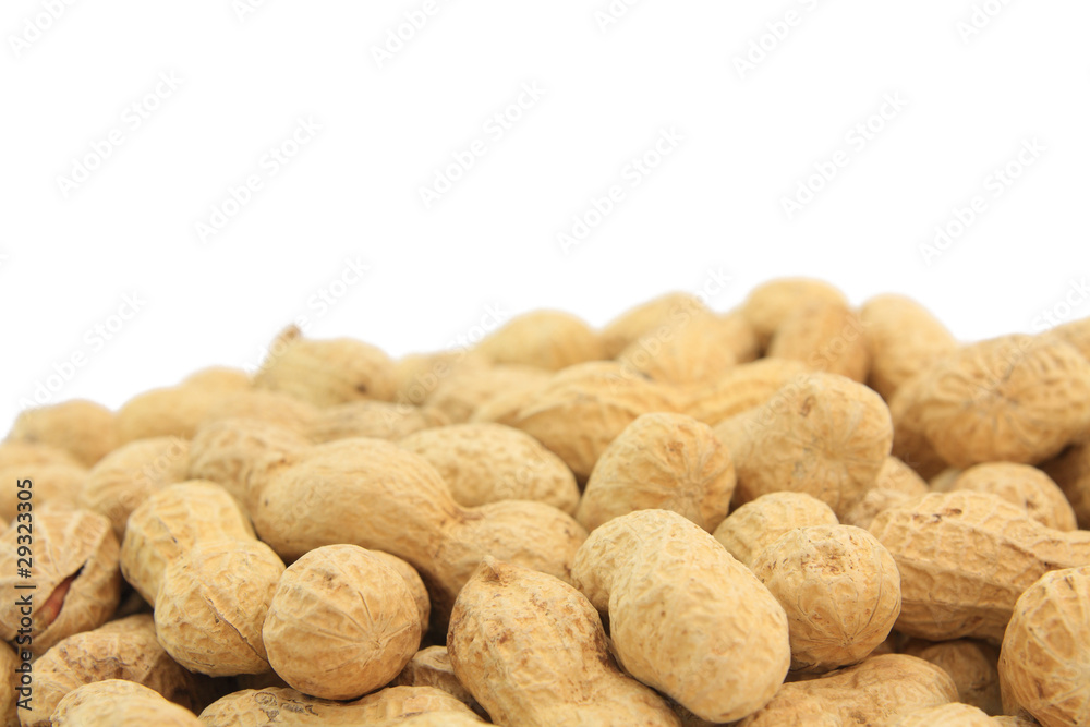 Peanut Shell Pile Peanut Shell Pile