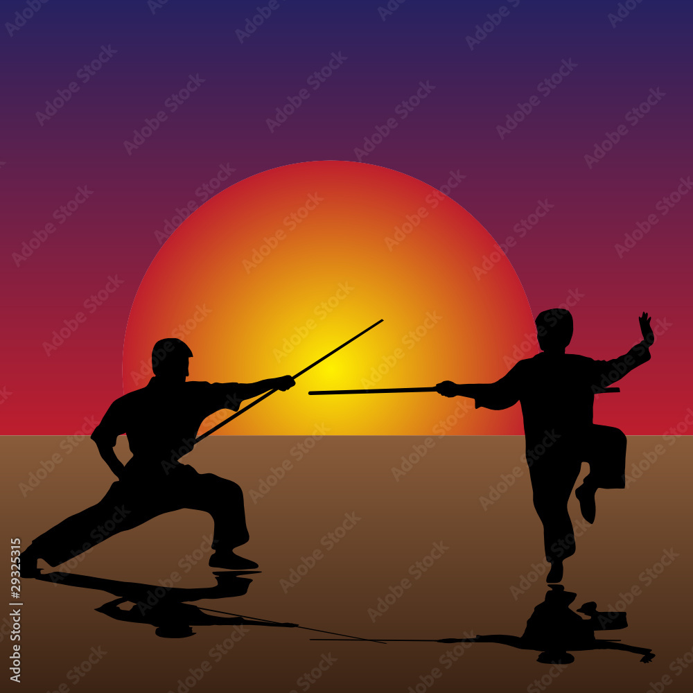 Obraz premium Martial Arts in the Twilight