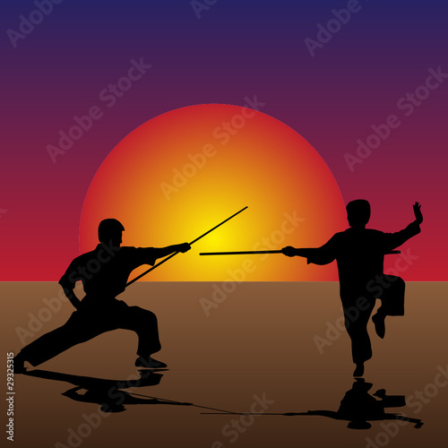 Martial Arts in the Twilight