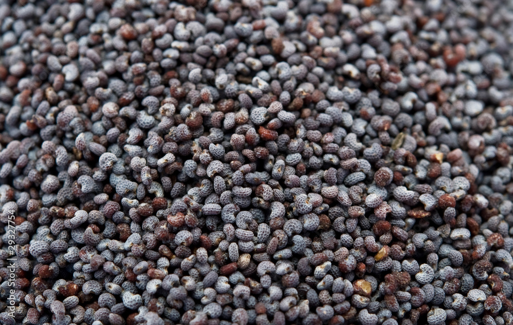 poppy seeds poppy seeds